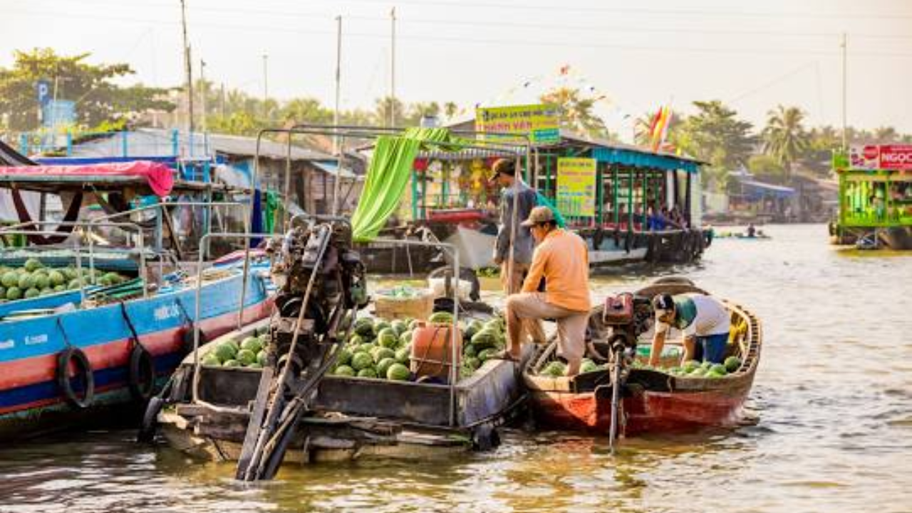 Dịch vụ Thuê Xe Cần Thơ với xe đời mới và tài xế chuyên nghiệp giúp chuyến đi của bạn thuận tiện và tiết kiệm thời gian